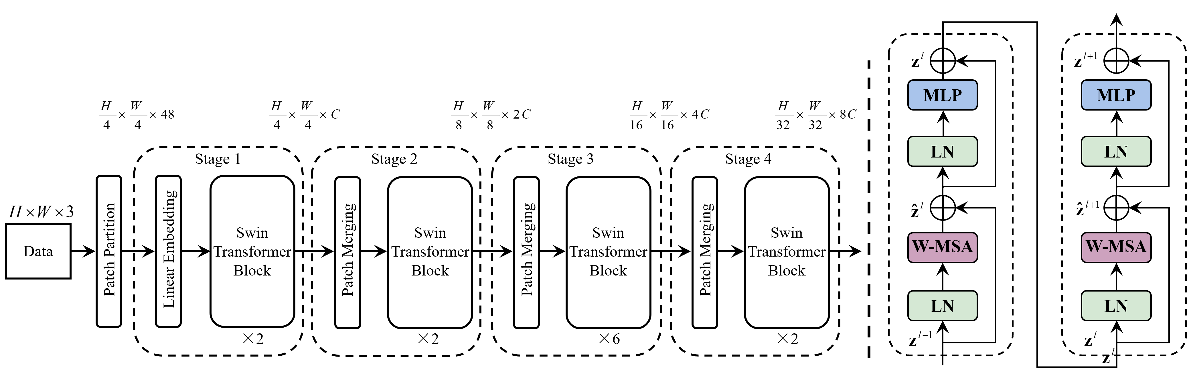 模型架构